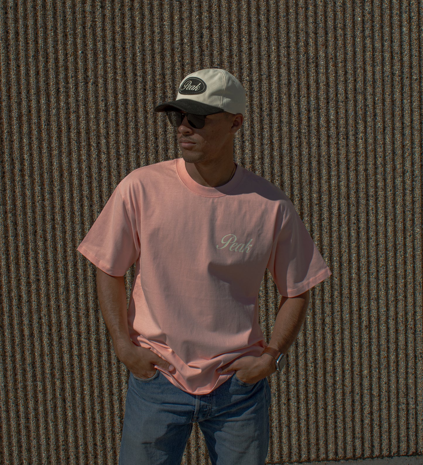 'Peak Insignia' Heavy Tee | Pink