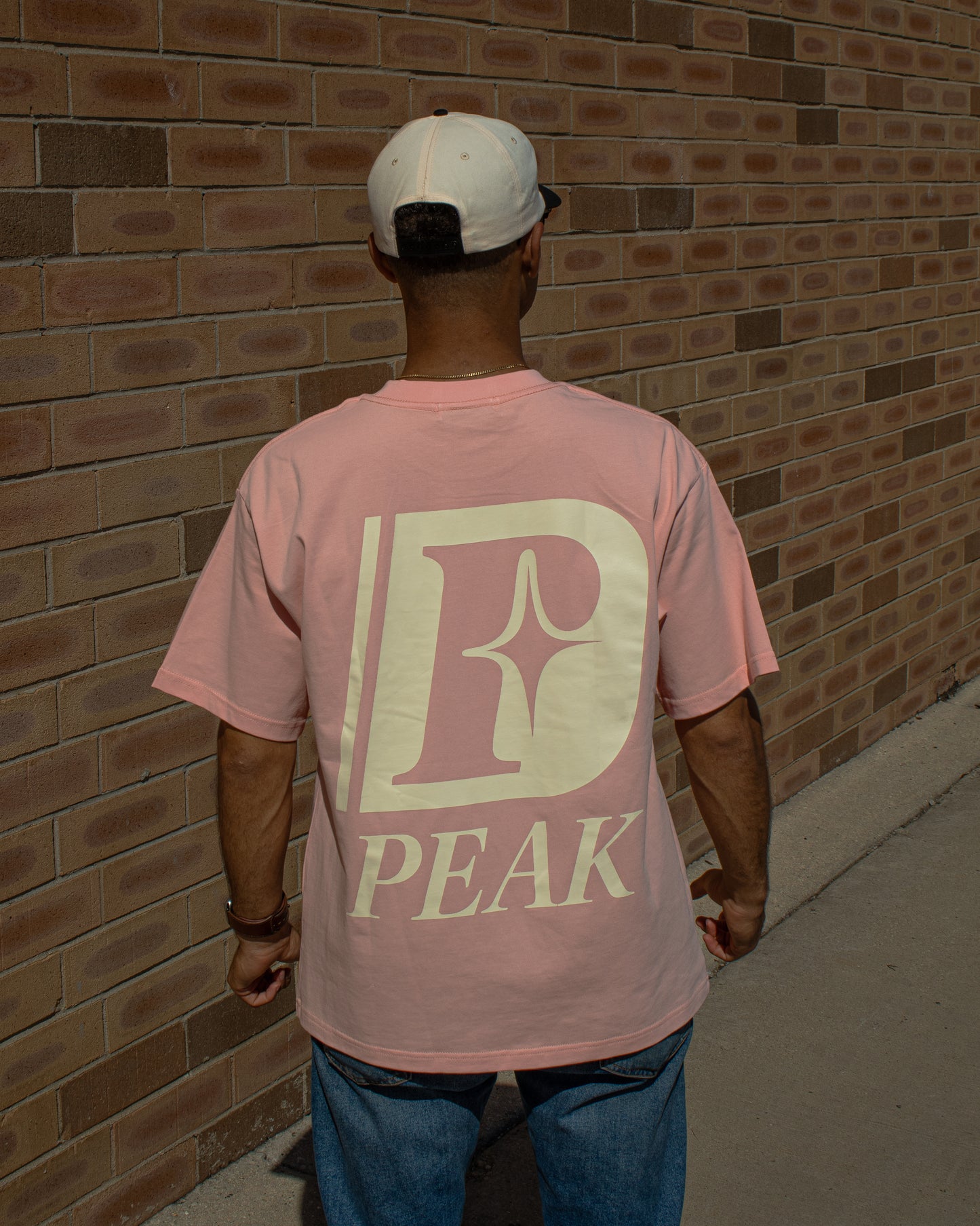 'Peak Insignia' Heavy Tee | Pink