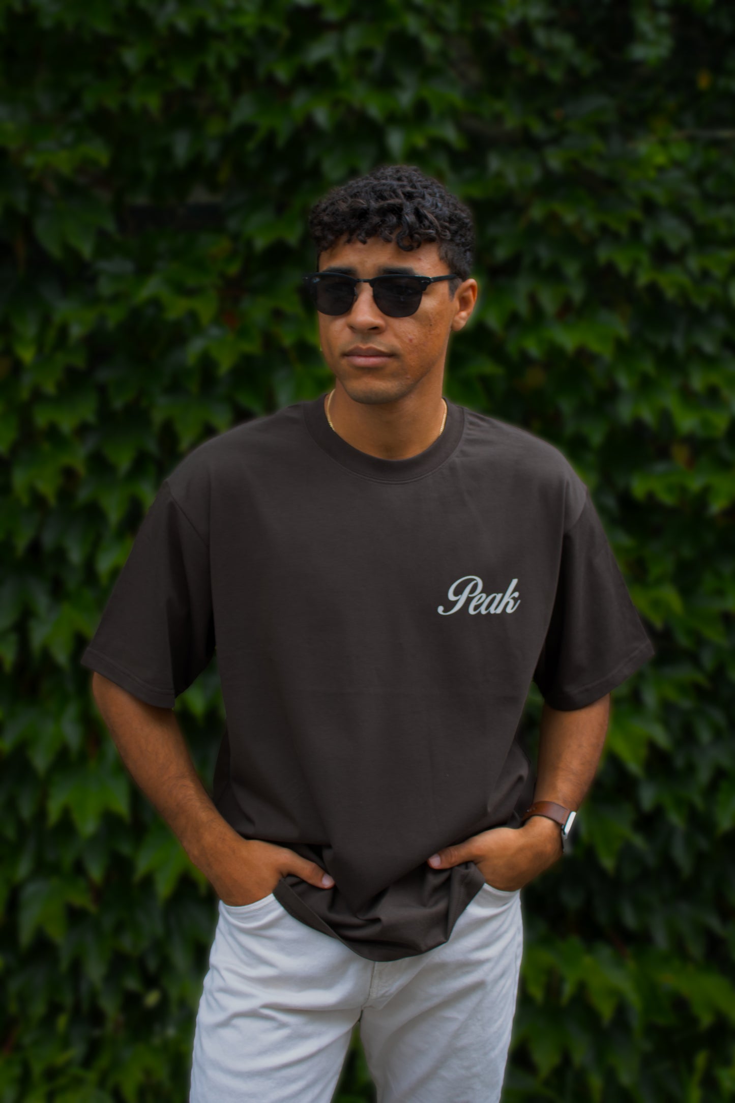 'Peak Insignia' Heavy Tee | Dark Brown