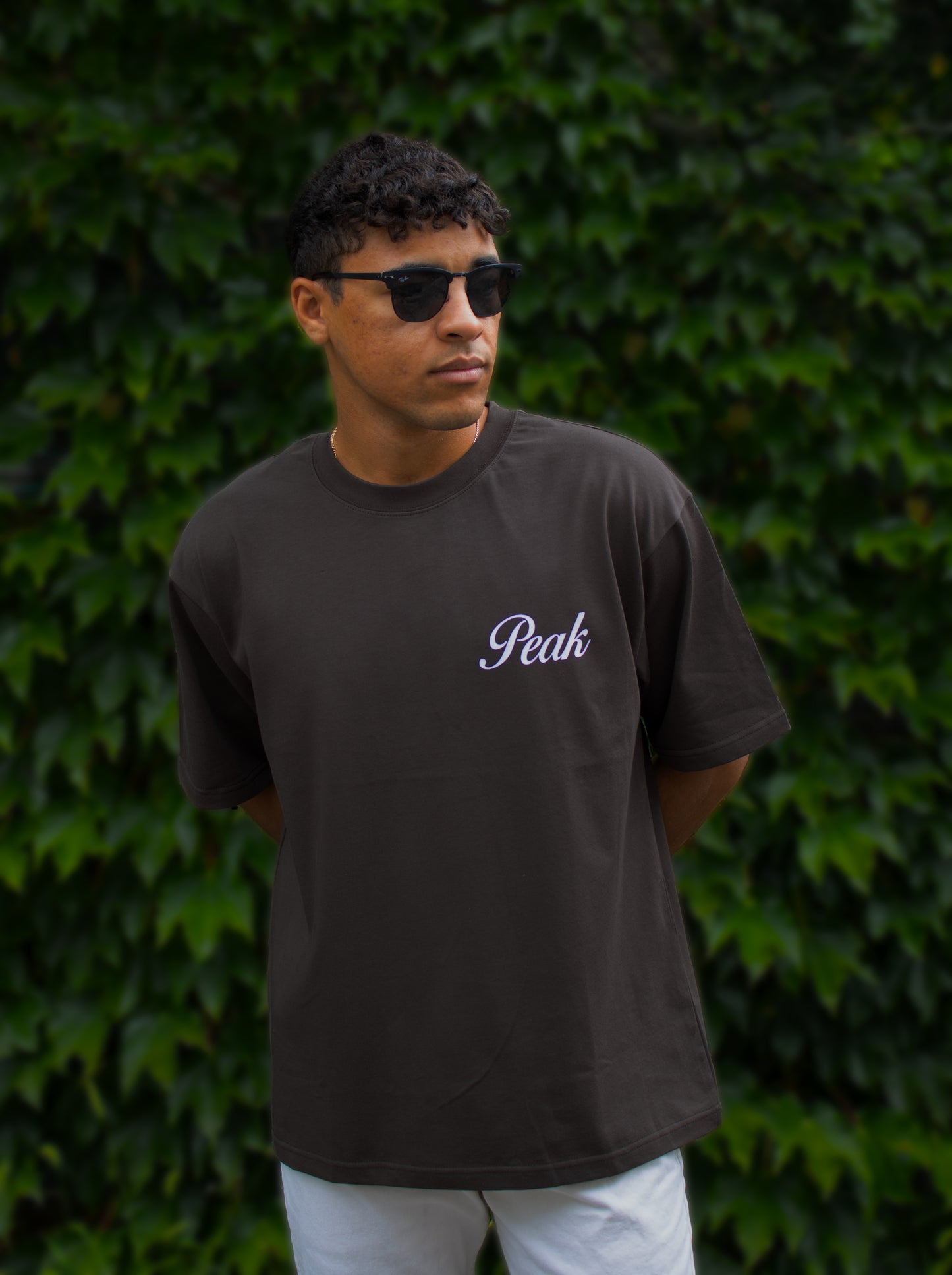 'Peak Insignia' Heavy Tee | Dark Brown