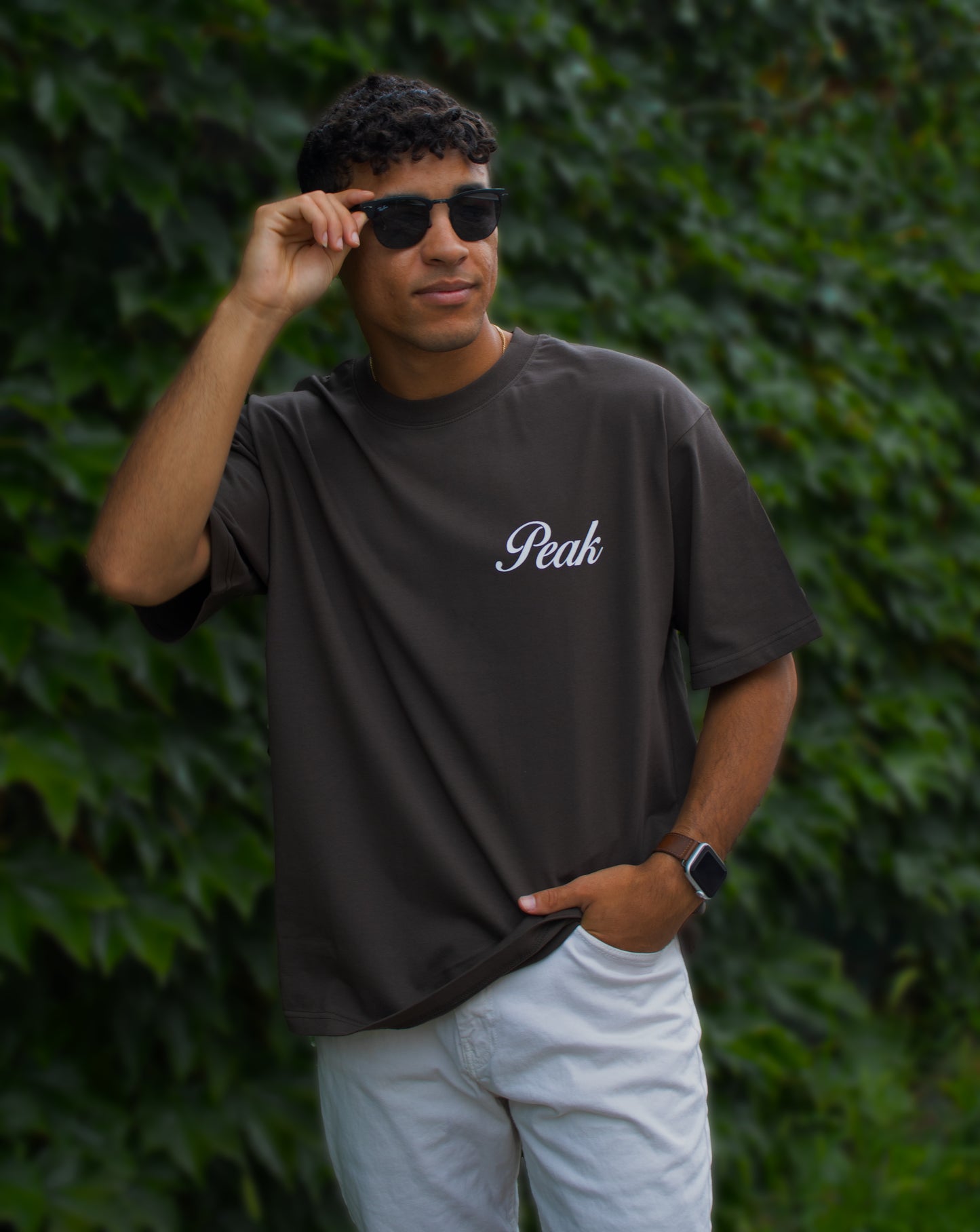 'Peak Insignia' Heavy Tee | Dark Brown